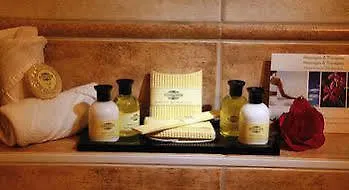 酒店 Boutique Albatros 4*