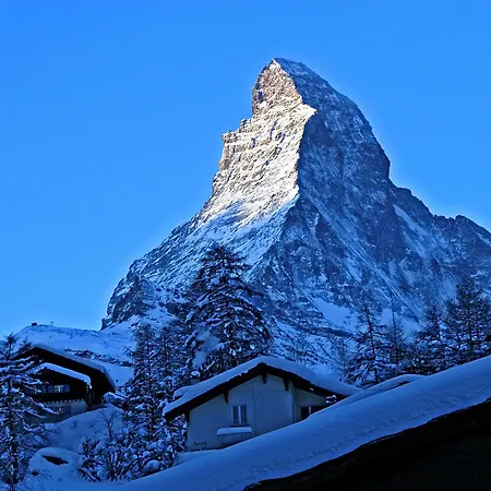 Albatros 4* Zermatt
